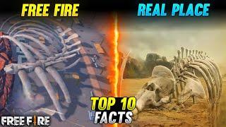 Top 10 Facts of Free Fire || Free Fire certain unique things that nobody knows