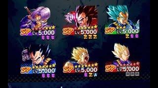 TOP TEAMS - VEGETA FAMILY | DB LEGENDS