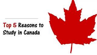 Top 5 Reasons to Study in Canada ||Student visa