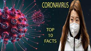 CORONA VIRUS | TOP 10 FACTS