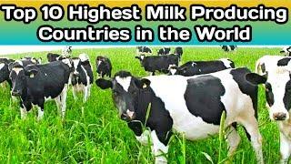 Top 10 largest milk producing countries in the world