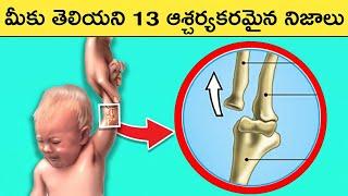 Top Interesting Facts in Telugu | SFE-93 | Great Sparkle