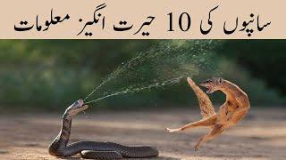 Top 10 Beautiful Facts About Snakes | Most Unique Information About Snakes | Snake Things