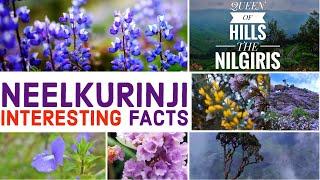 TOP 10 INTERESTING FACTS ABOUT NEELKURINJI FLOWER | ENGLISH | SCIENCE TEACHER