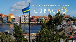 Top 5 Reasons to Visit Curacao | Dive into the HEART of the Caribbean | Dive Curaçao Vlog