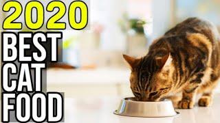 BEST CAT FOOD 2020 - Top 10