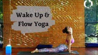 Wake Up & Flow Yoga