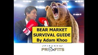 Survive and Profit from the Bear Market in Stocks Part 1 of 2