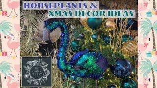 Houseplants & Xmas Decor Inspiration @ The Garden Society 