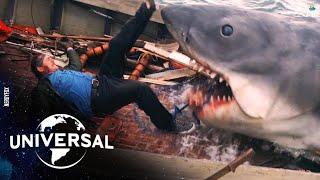 10 Dangerous Shark Attacks on People