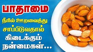 நீரில் ஊரவைத்த பாதாம் சாப்பிட நன்மைகள் / Top 10 Health Benefits Of Soaked Almonds (Badam) Tamil