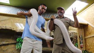 Wrangling GIANT Reptiles at Zoo Meet-Up