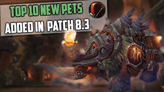 Top 10 New Hunter Pets Added in 8.3 WoW