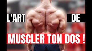 L'ART DE MUSCLER TON DOS !