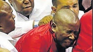 Top 10 Malema moments that shocked the world