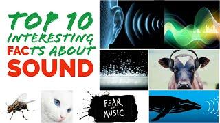 TOP 10 INTERESTING FACTS ABOUT SOUND | ENGLISH | SCIENCE TEACHER