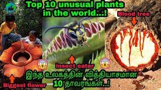 Top 10 Unusual Plants in The World | Tamil | Bioworld | Different kind of plants in the world