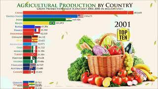 Agriculture Production By Country | Top 10 Agriculture Producer Countries In The World