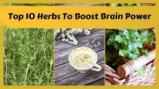 top 10 herbs that boost brain power