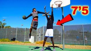 DUNKS ONLY King of the Court vs 7’5 Giant