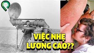 Top 10 Công Việc Kỳ Quoặc Nhất Vũ Trụ Mà Bạn Sẽ Không Tin Là Có Thật - Việc Nhẹ Lương Cao Là Có Thật