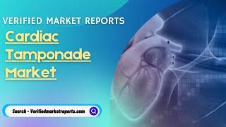 Top 10 Company In Cardiac Tamponade Market Size And Forecast - Verified Market Reports