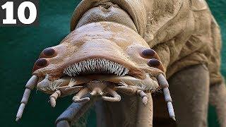 SCARIEST Things Seen Under a Microscope