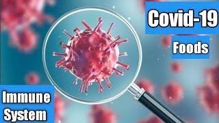 Top 10 Foods Boost your immune system to fight the corona Virus | Top Video Valley