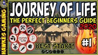 How to Have the Best Start in Journey of Life Gameplay 2020 Journey of Life Game Beginners Guide #1