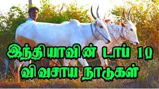 இந்தியாவின் டாப் 10 விவசாய மாநிலங்கள்/Top 10 Indian farming State/Indian farming/