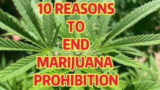 TOP 10 Reasons to End Marijuana Prohibition