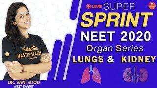 Lungs and Kidney Super Sprint 2020 | AIIMS | NEET 2020 | Vani Ma'am | Vedantu VBiotonic