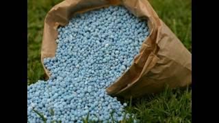 Top 10 Fertilizer Companies in India 2019