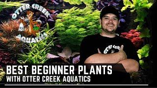 Top 10 EASY Beginner Plants - With Kendall from Otter Creek Aquatics