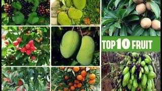 Top 10 Fruit In Kerala Better Health