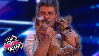 Simon Cowell's TOP 10 Favourite DOG Auditions On Britain And America's Got Talent