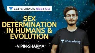 Sex Determination in Humans & Evolution | Biology | Class 9 & 10 Foundation Course | Biology