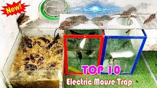 Top 10 Electric Mouse Trap Water 