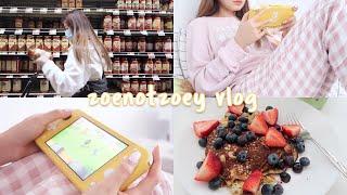 grocery shopping, animal crossing, facetiming friends | VLOG EP. 11
