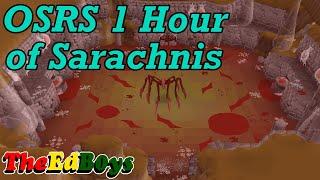 OSRS 1 Hour of Sarachnis | Live Sarachnis Example Kills