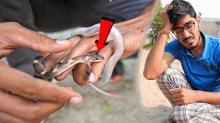 I Got Bitten by Snake | मुझे साँप ने काट लिया- हालत नाज़ुक? Snake Rescue Part-2