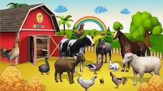Funny animals story 