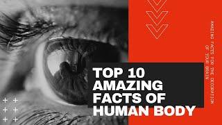 Top 10 amazing facts of Human body