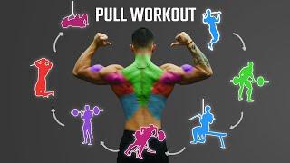 The Best Science-Based PULL Workout For Growth (Back/Biceps/Rear Delts)