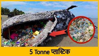 (10 लाख +) टन प्लास्टिक कूड़े - से - जुड़े  हुए देश !! (Top 10 Plastic Waste producing countries)!