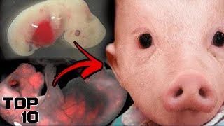 Top 10 Dark Crossbreeding Experiments - Part 2