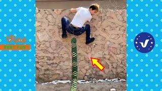 New Funny Videos 2020 ● People doing stupid things P132