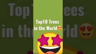 Top 10 tress in the world