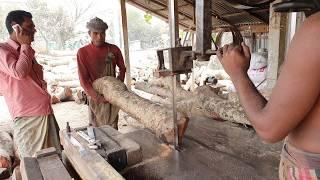 Leg Break Men Cutting Teak Wood with Pain।Earning Money with Breaking Leg to Feed Family by Logging