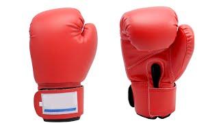 Top 10 Best Boxing Gloves 2021